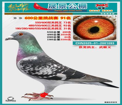 �ɾ�����(zh��n)ِ91��