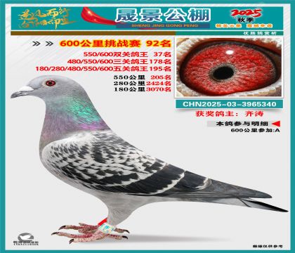 �ɾ�����(zh��n)ِ92��