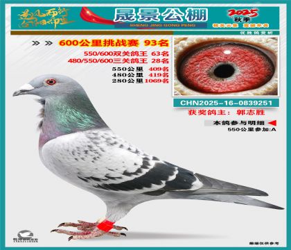 �ɾ�����(zh��n)ِ93��