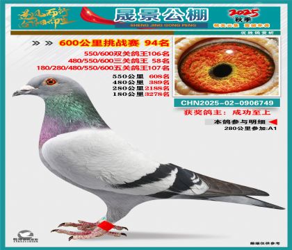 �ɾ�����(zh��n)ِ94��