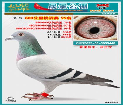 �ɾ�����(zh��n)ِ95��