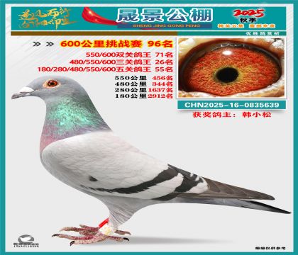 �ɾ�����(zh��n)ِ96��