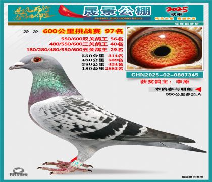 �ɾ�����(zh��n)ِ97��