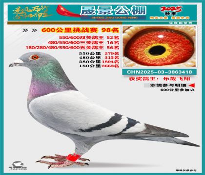 �ɾ�����(zh��n)ِ98��