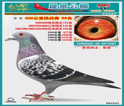 �ɾ�����(zh��n)ِ99��