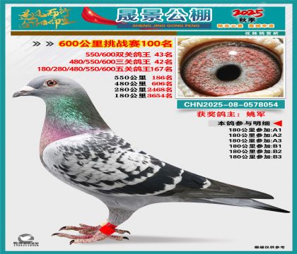 �ɾ�����(zh��n)ِ100��