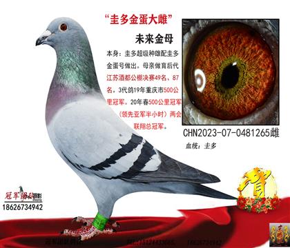 ĸ�Hһ���𵰴�ƣ��OƷ��