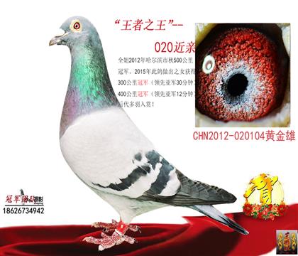 ���游һ020���O