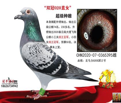 母親一國(guó)王3號(hào)孫女