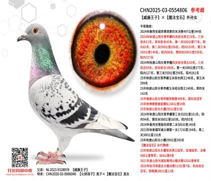 �������ӡ�ħ����ʯ��OŮ