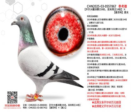 �_������Qِ159�����p�P(gu��n)����14�����ΰ���ֱŮ