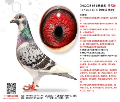 ǧ�f����ֱ�ӡ���������OŮ