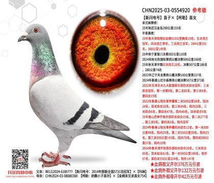 ���W�ֱ̖�ӡ�����ֱŮ