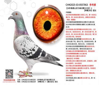 24�괺��ɽ�᠖ɭ�Qِ322��������300ֱŮ