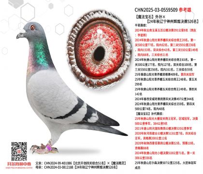 ħ����ʯ��O��24�����|�������x�͛Qِ526��