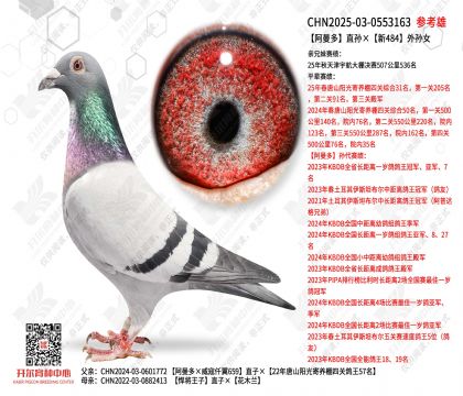 ������ֱ�O����484��OŮ