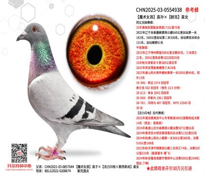 ħ�g(sh��)Ů��ֱ�O���Ϳ�ֱŮ