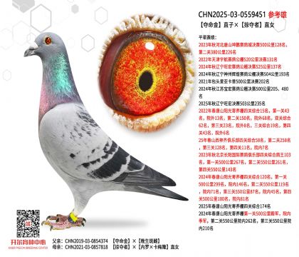 �Z����ֱ�ӡ��ӊZ��ֱŮ