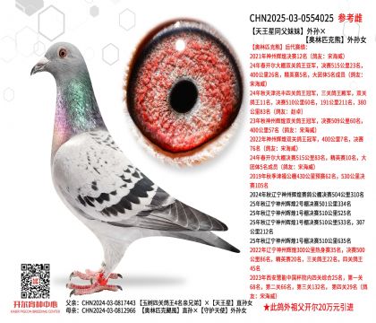 ������ͬ��������O���W��ƥ������OŮ