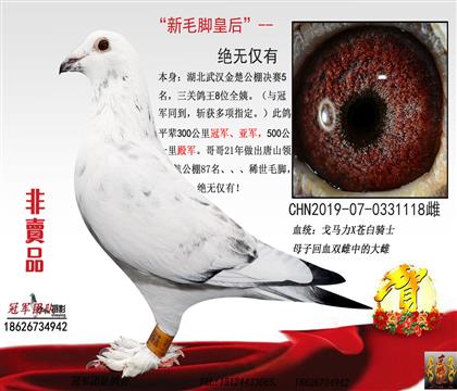 ĸ�Hһ��ë�_�ʺ�