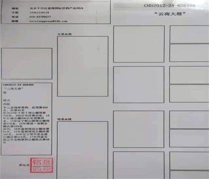 ���HѪ�y(t��ng)��һ�������5��