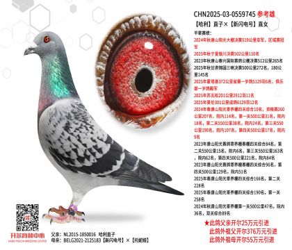 ����ֱ�ӡ����W�ֱ̖Ů