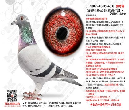 21���_�����Ĺ������Qِ67����������ֱ�OŮ