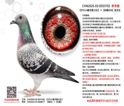 �_��С��Qِ33��������098ֱ�OŮ