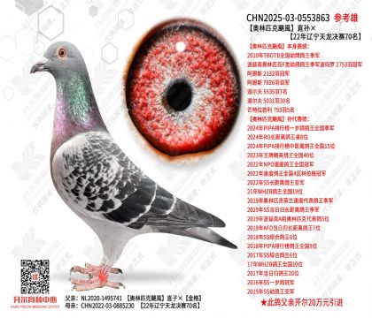 �W��ƥ���Z�L(f��ng)ֱ�O��22���|�������Qِ70��