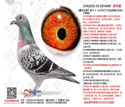 ħ����Ӱֱ�ӡ�22���|�������Qِ350��