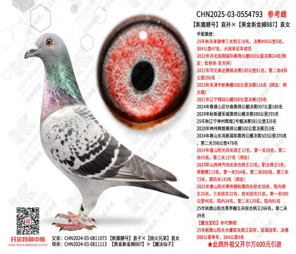 ����ֱ̖�O���S���½�ķ887ֱŮ