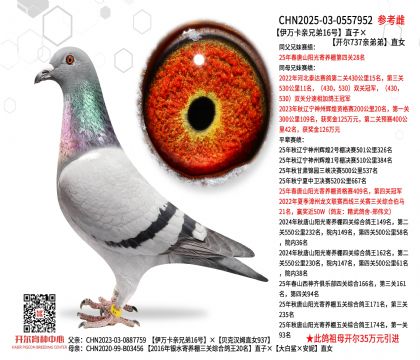 ���f���H�ֵ�16ֱ̖�ӡ��_��737�H�ܵ�ֱŮ