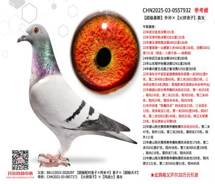 ������˹��O����ƴ����ֱŮ