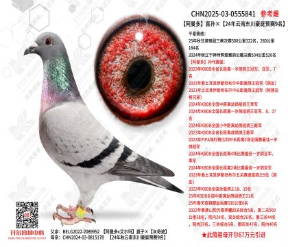 ������ֱ�O��24�����ϖ|����ͥ�A(y��)ِ9��