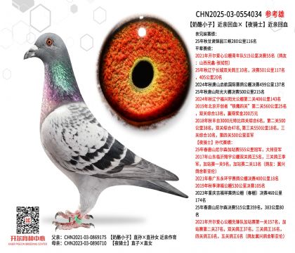 ����С�ӽ��H��Ѫ��ҹ�Tʿ���H��Ѫ