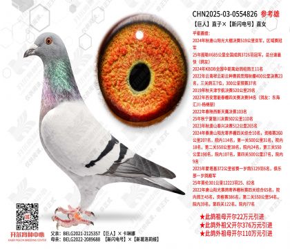 ����ֱ�ӡ����W�ֱ̖Ů