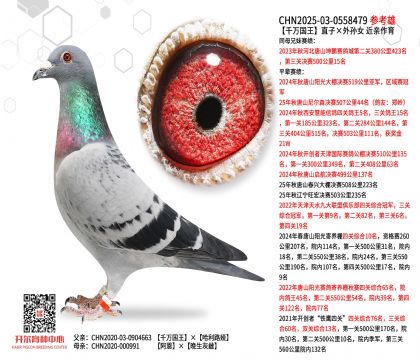 ǧ�f����ֱ�ӡ���OŮ  ���H����