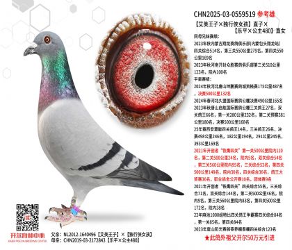 ���������ӡ����ЂbŮ����ֱ�ӡ�����ƽ������480��ֱŮ