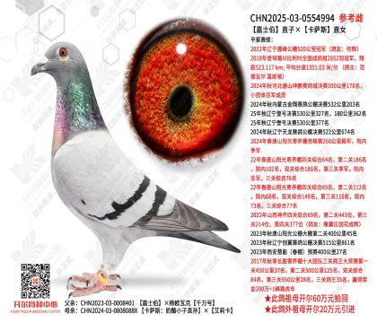 ��ʿ��ֱ�ӡ����_˹ֱŮ