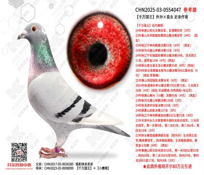 ǧ�f������O��ֱŮ  ���H����