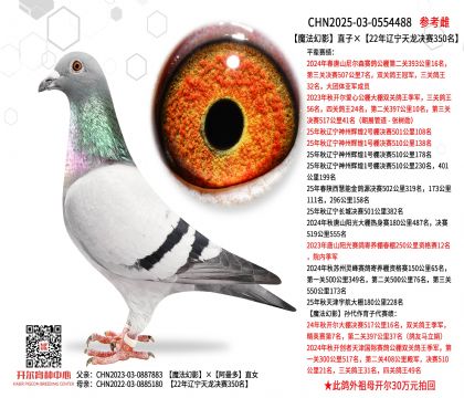 ħ����Ӱֱ�ӡ�22���|�������Qِ350��