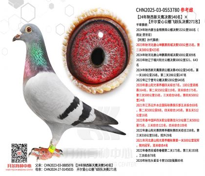 24������������Qِ540�����_�����Ĺ����w�SꠛQِ271��