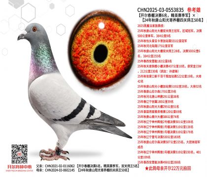 �_������Qِ6������Ӣِ��܊��24����ɽꖹ����P����50��