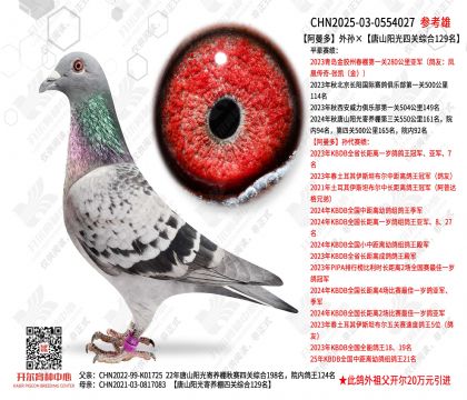 ��������O����ɽꖹ����P�C��129��