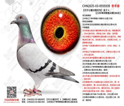 �_������Qِ��܊ֱ�ӡ�23�������x�͛Qِ286��