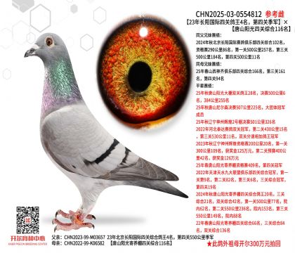 23���Lꖇ��H���P����4�������P��܊����ɽꖹ����P�C��116