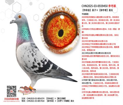 �Z����ֱ�ӡ��ӊZ��ֱŮ