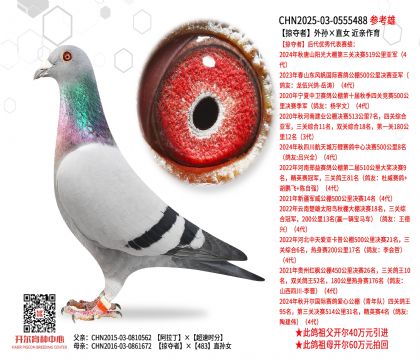 �ӊZ����O��ֱŮ  ���H����