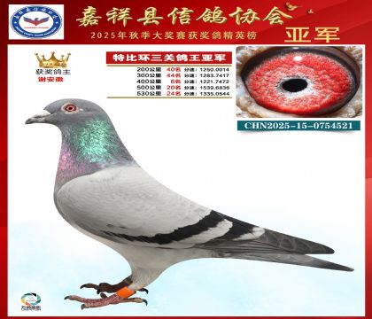 �ر����P(gu��n)������܊