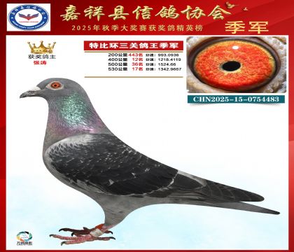 �ر����P(gu��n)������܊